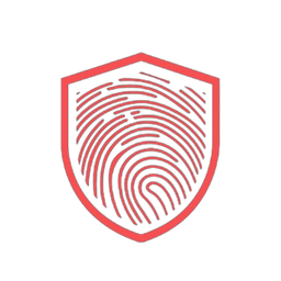 NettaSec Solutions Team Icon